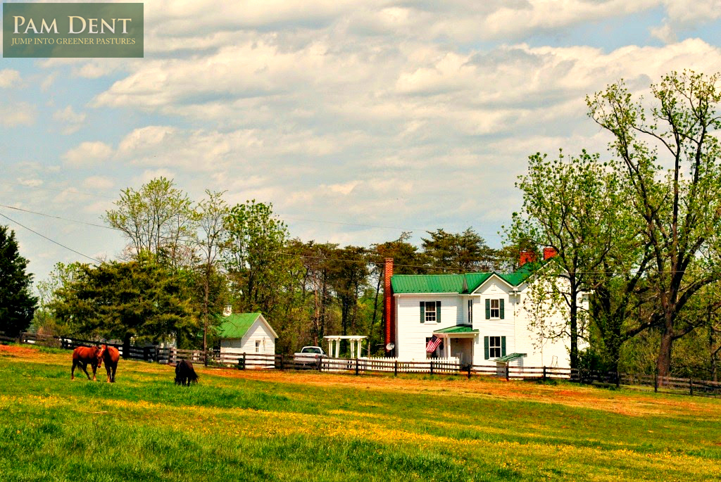 Virginia Historic Home for Sale | 1920 Phelps Rd | View from afar